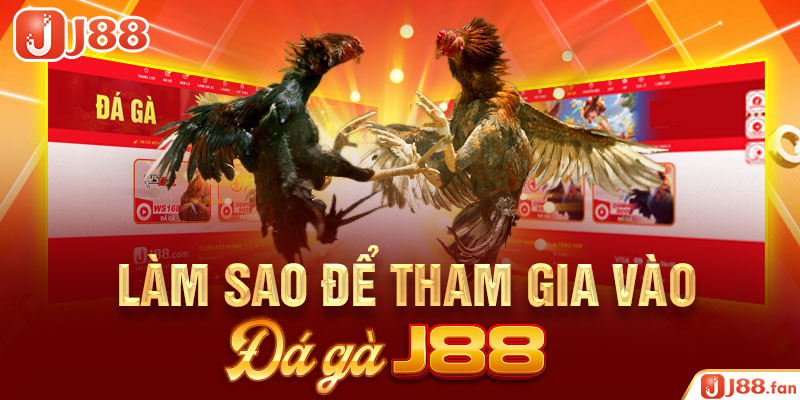 Đá Gà J88 - Mãn Nhãn Với Những Trận Chọi Kê Mang Đẳng Cấp Quốc Tế 9 Làm sao để tham gia vào đá gà J88?
